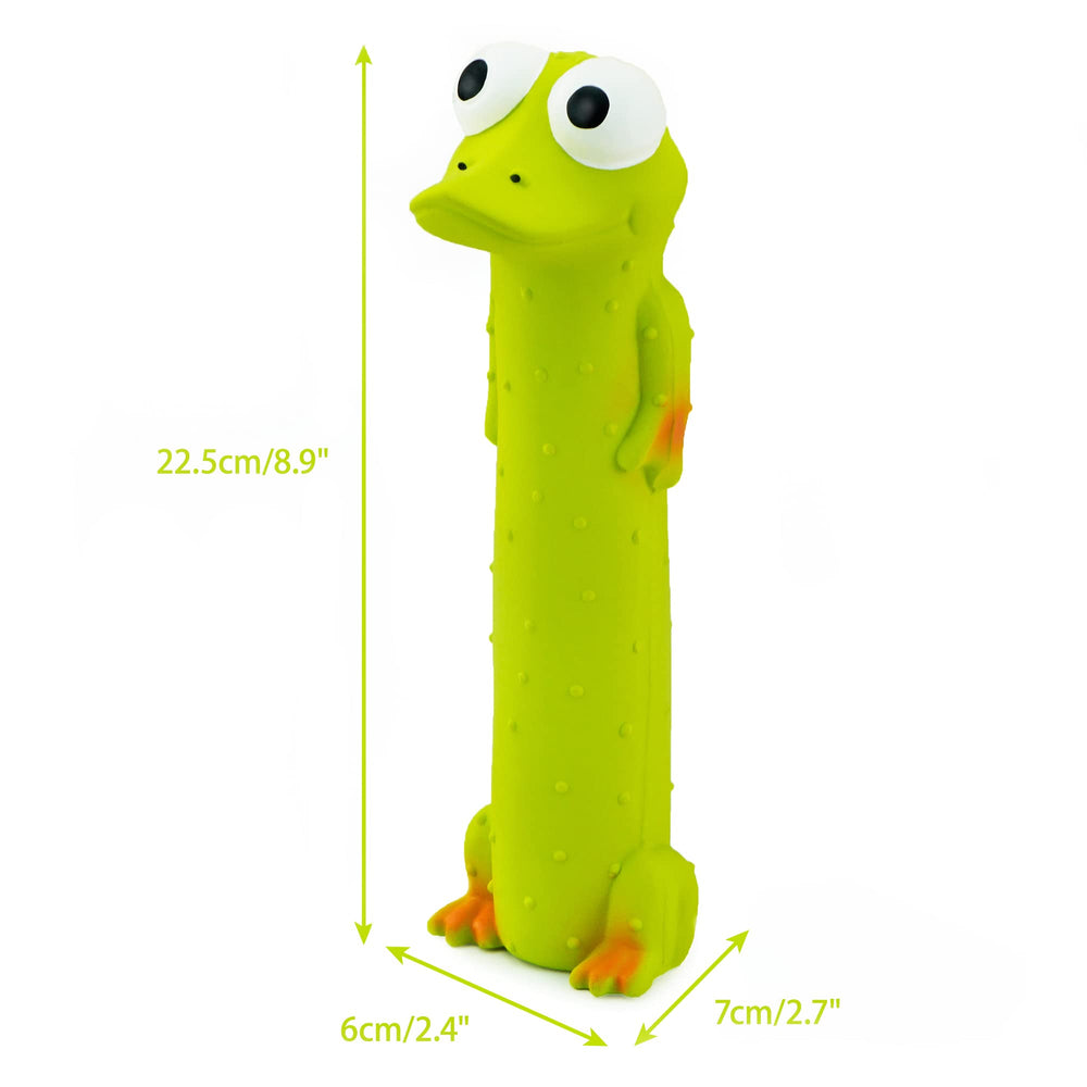 CHIWAVA comparaison taille montrant convenance chiens moyens
