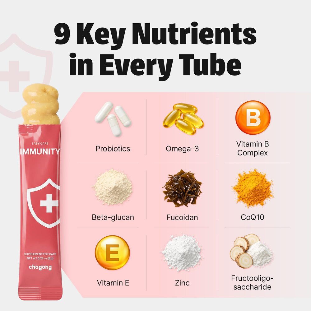 Chogong 30 tubes disposés pour montrer quantité et échelle pratique