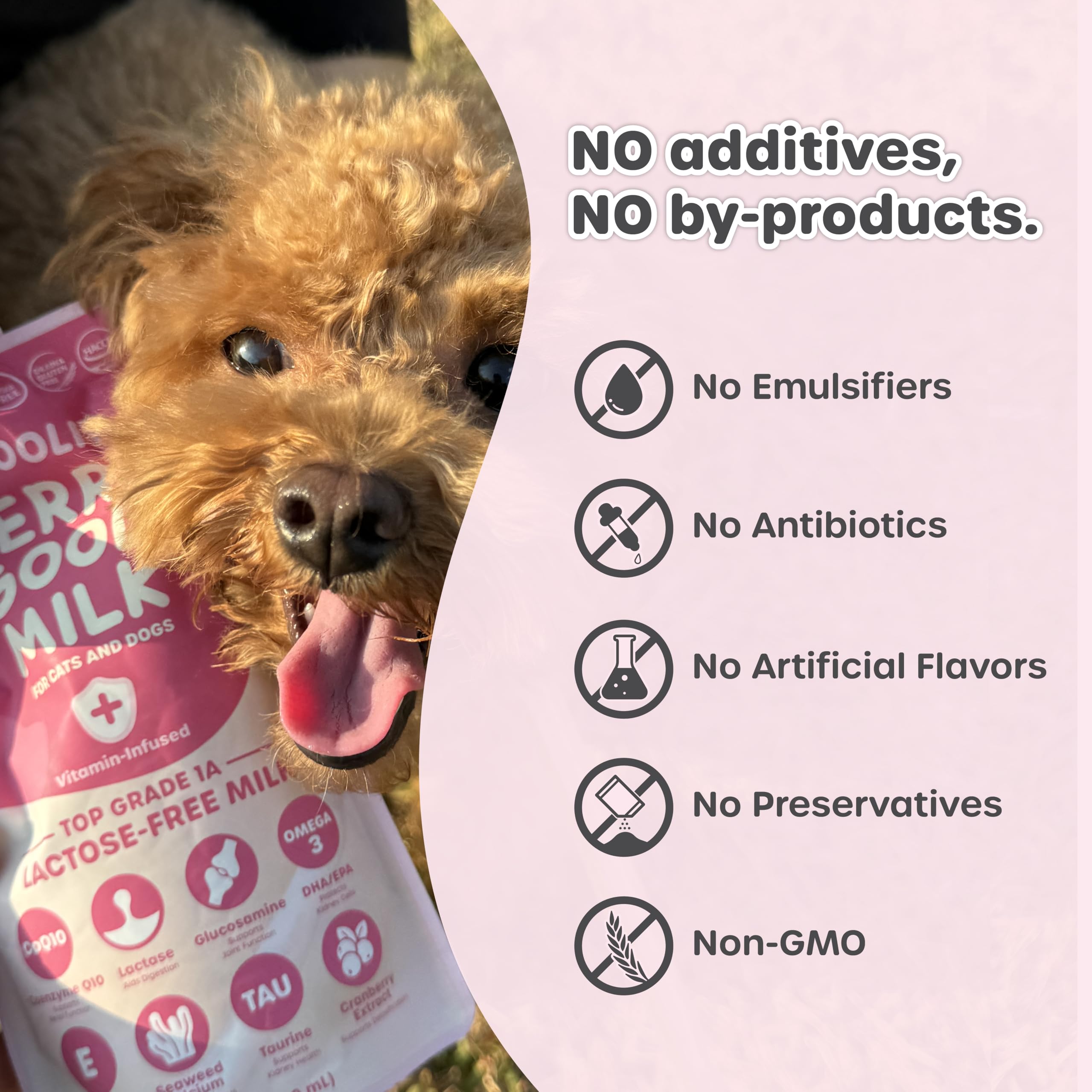 Choolip cubes congelés prêts à offrir comme friandise rafraîchissante
