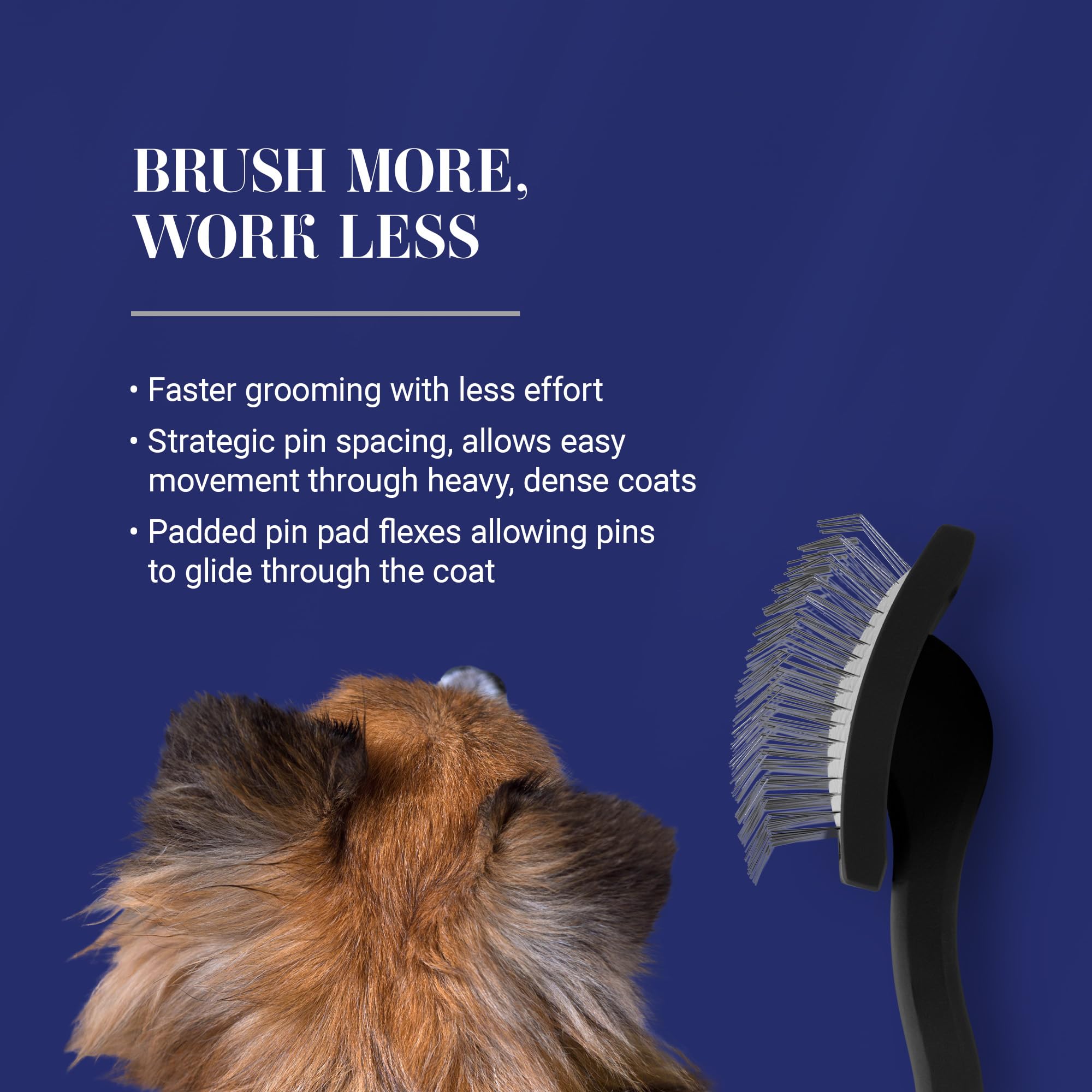 Chris Christensen Big K en usage sur Goldendoodle, réduit temps de toilettage