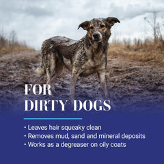 Chris Christensen shampooing en utilisation lors d’un bain de chien propre