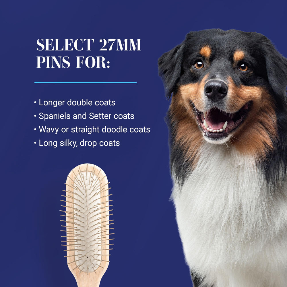 Chris Christensen comparaison taille brosse à côté d’un chien, échelle visible