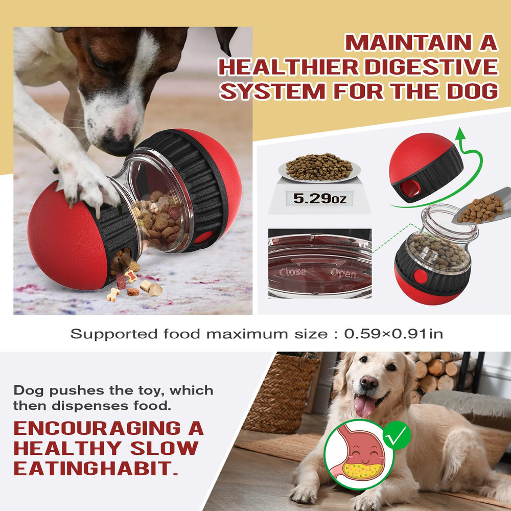 Chronanagese chien en train de faire rouler la balle pour obtenir friandises