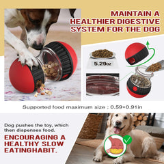 Chronanagese chien en train de faire rouler la balle pour obtenir friandises