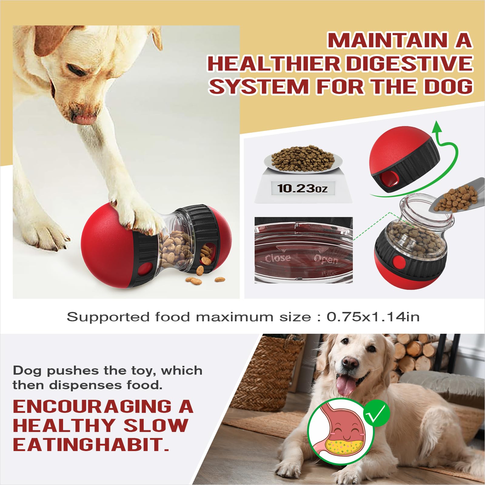Chronanagese en usage avec chien poussant la balle pour stimuler mentalement