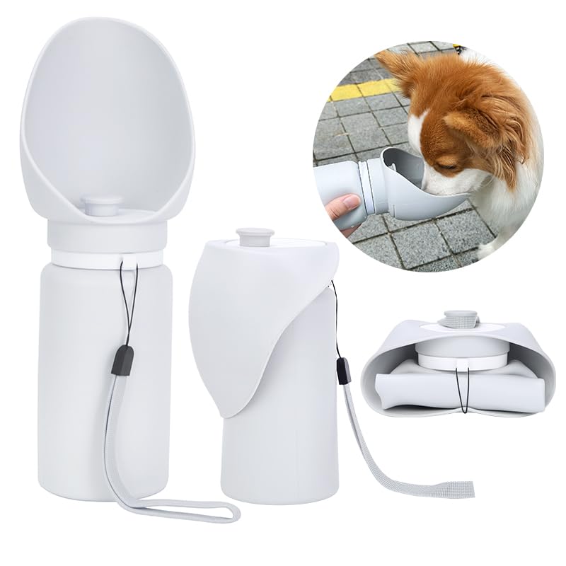 Chronanagese gourde face avant montrant capacité et ergonomie bénéfique