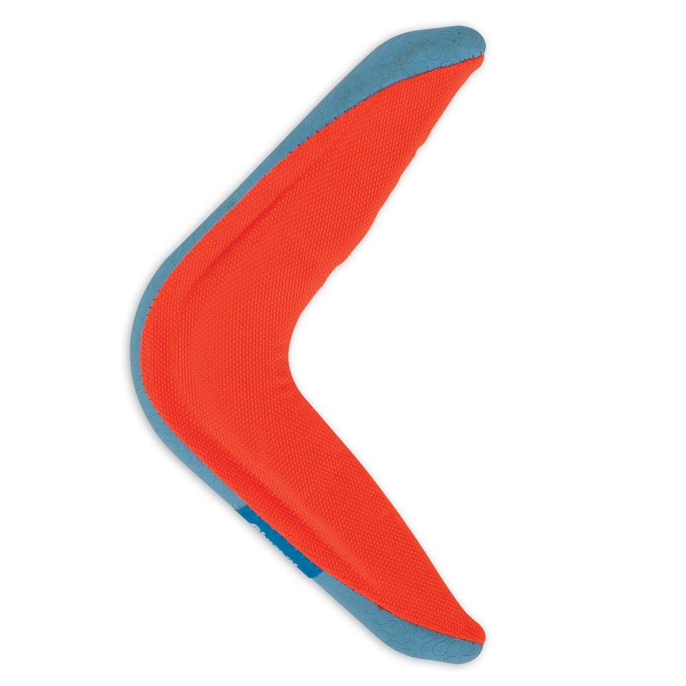 Chuckit! boomerang à côté d'une laisse pour repère d'échelle pratique