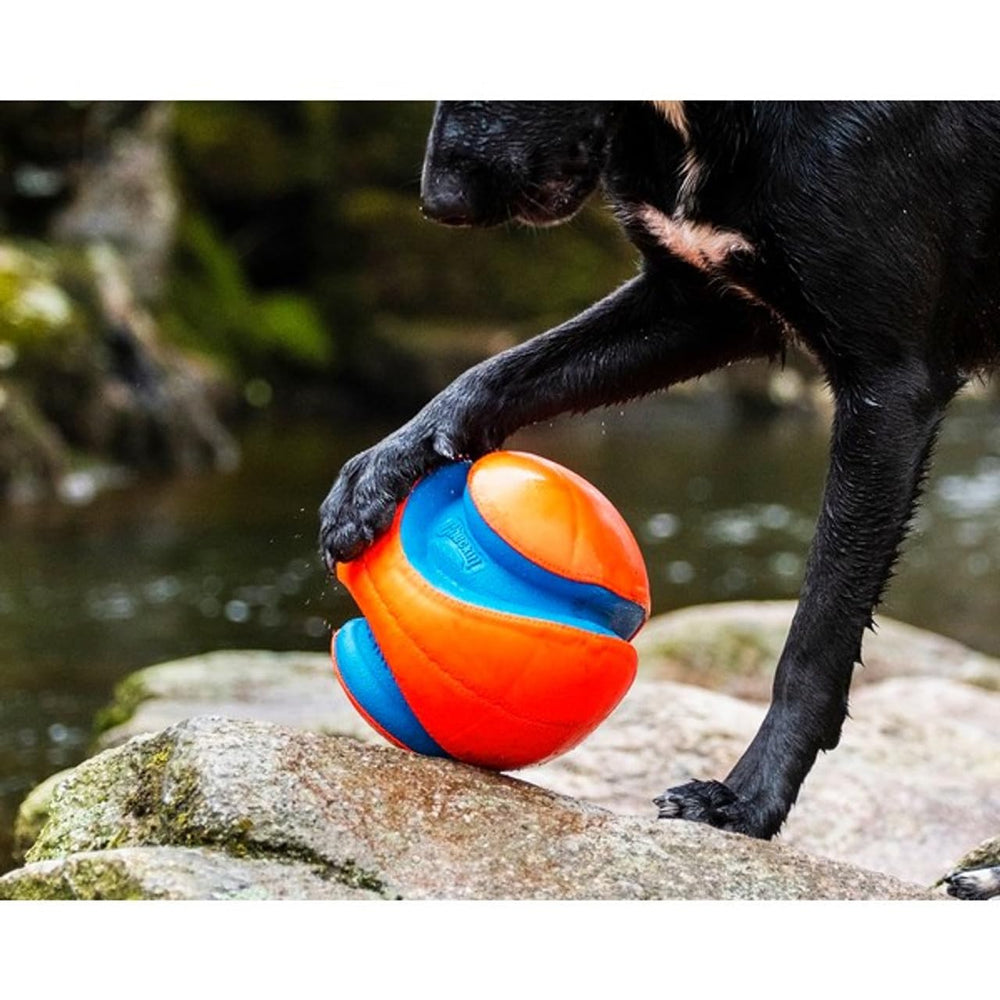 Chuckit! Amphibious Mega Ball focus sur matériaux, résiste aux perforations et à l'eau