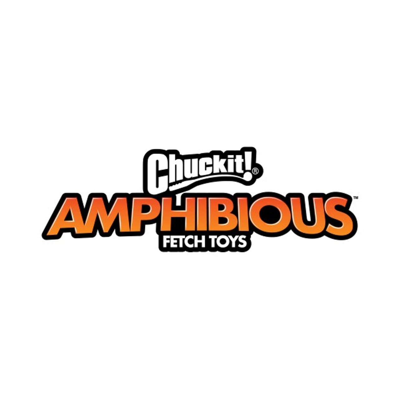 Chuckit! Amphibious Mega Ball sur la plage avec chien, parfait pour jeux aquatiques