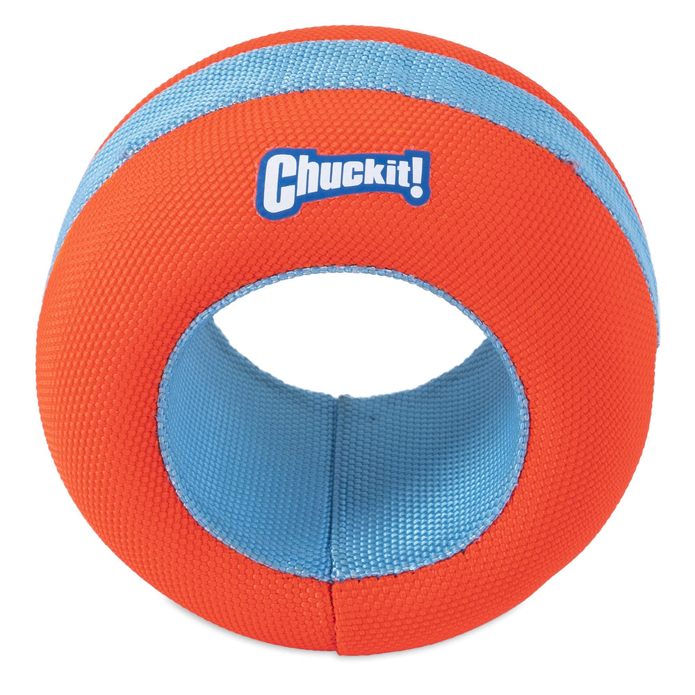 Chuckit! chien rapportant le roller sur la plage pour jeu actif et rafraîchissement