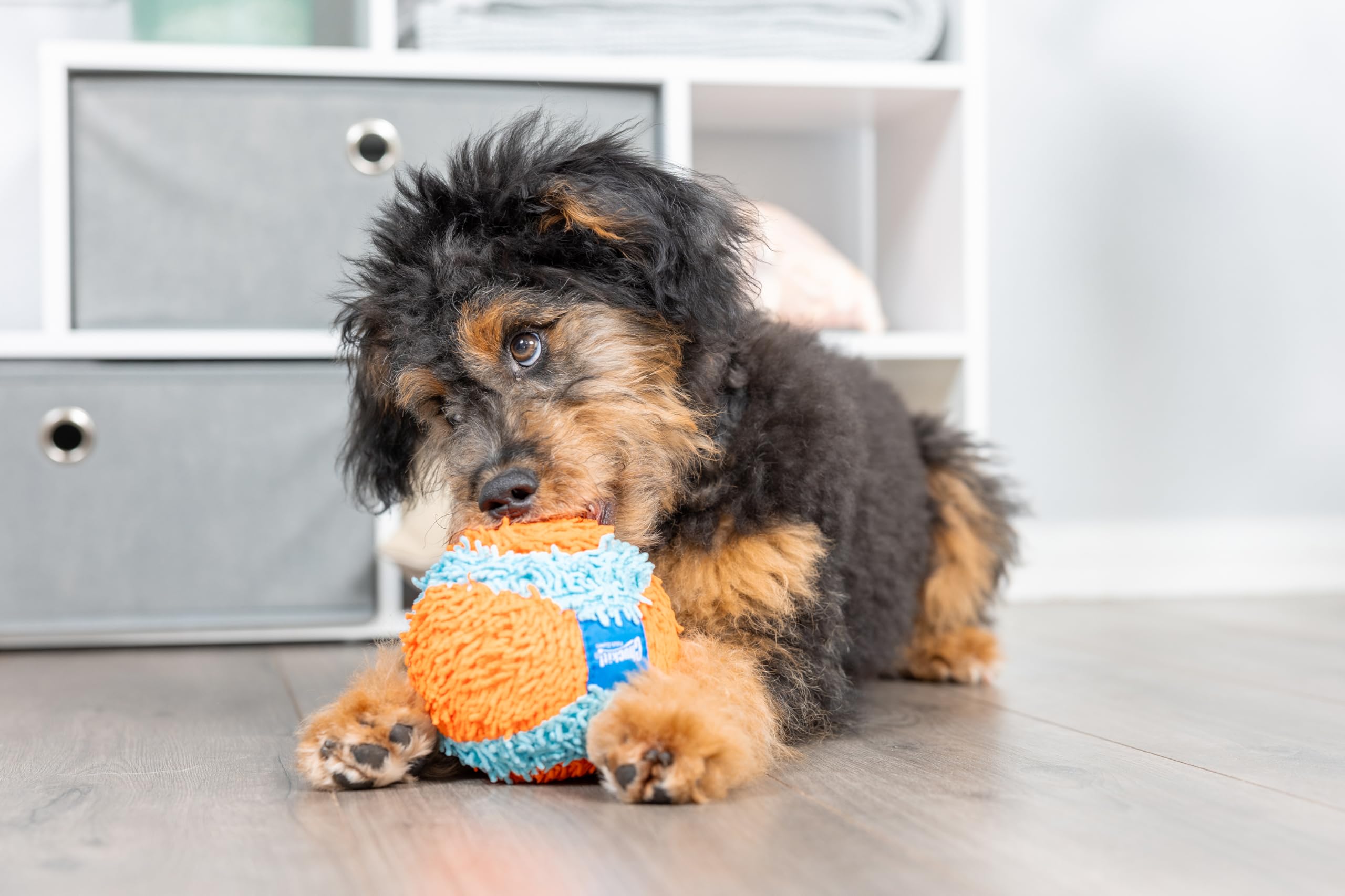 Chuckit! gros plan sur la chenille douce qui protège la gueule et le confort du chien