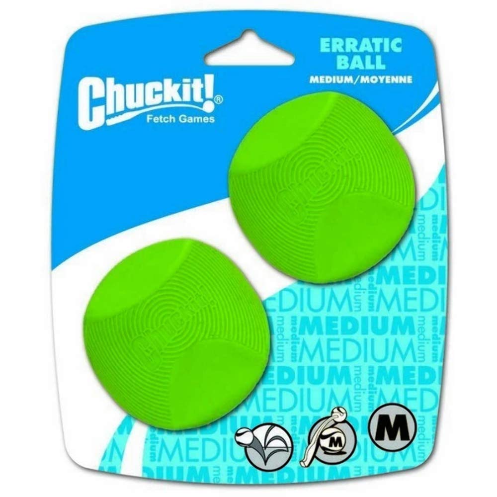 ChuckIt! balle en usage dans un parc, favorisant l'exercice et la stimulation du chien