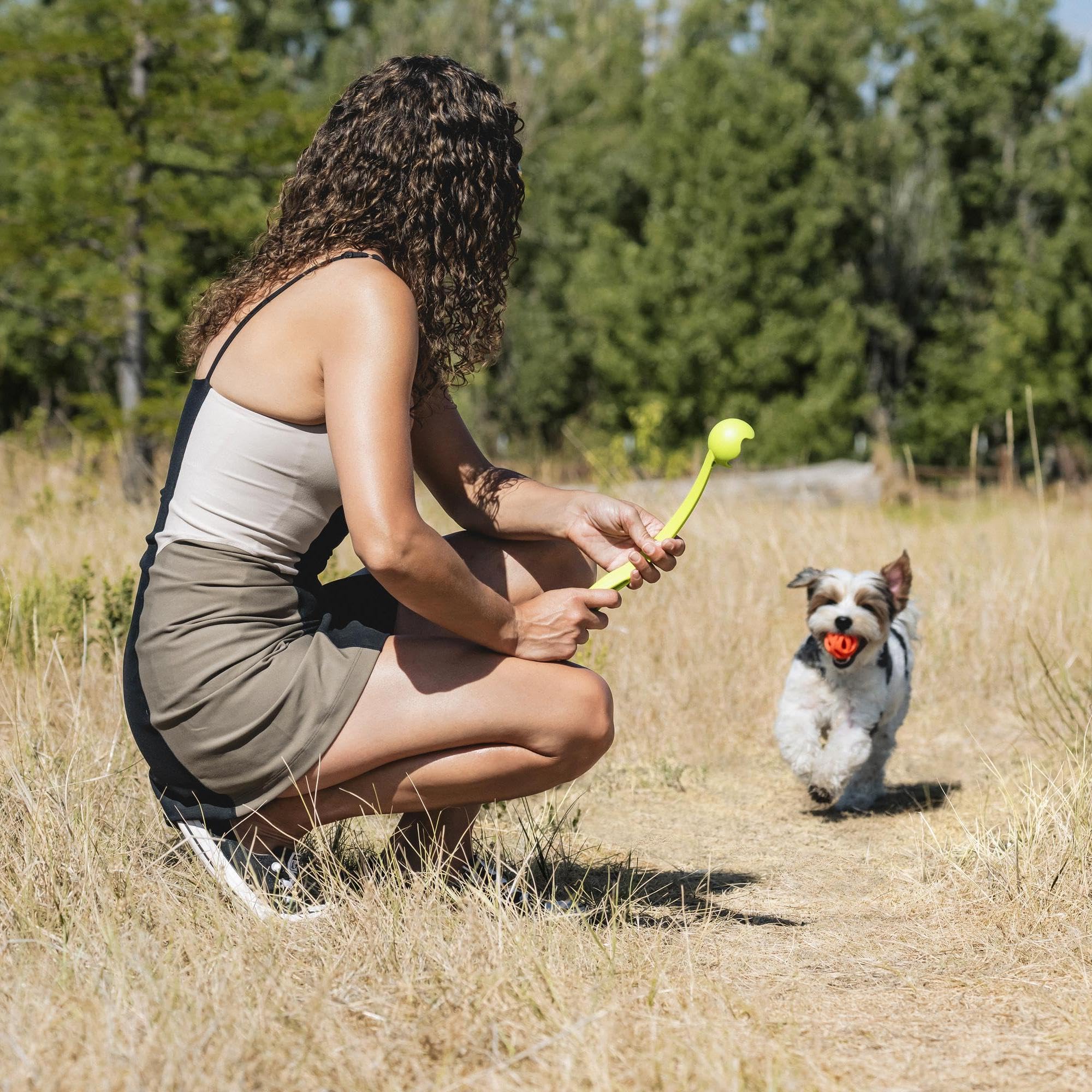 Chuckit! balle incluse gros plan couleur vive et rebond élevé pour visibilité