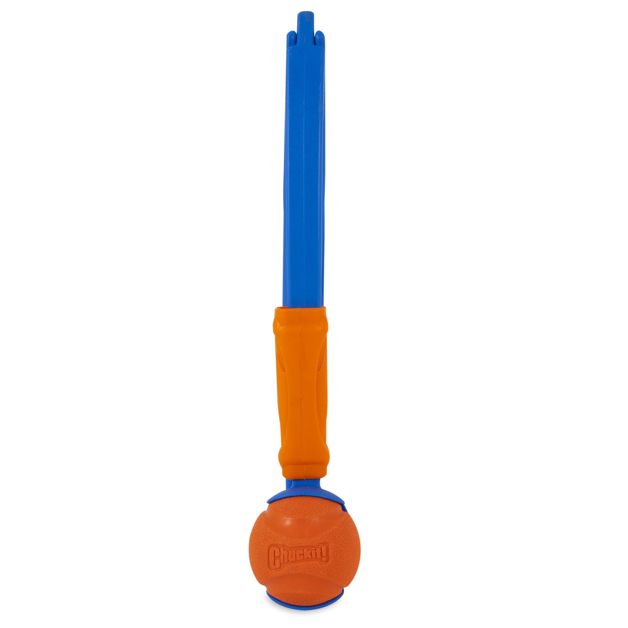 Chuckit! balle Medium incluse haute visibilité pour jeux dynamiques