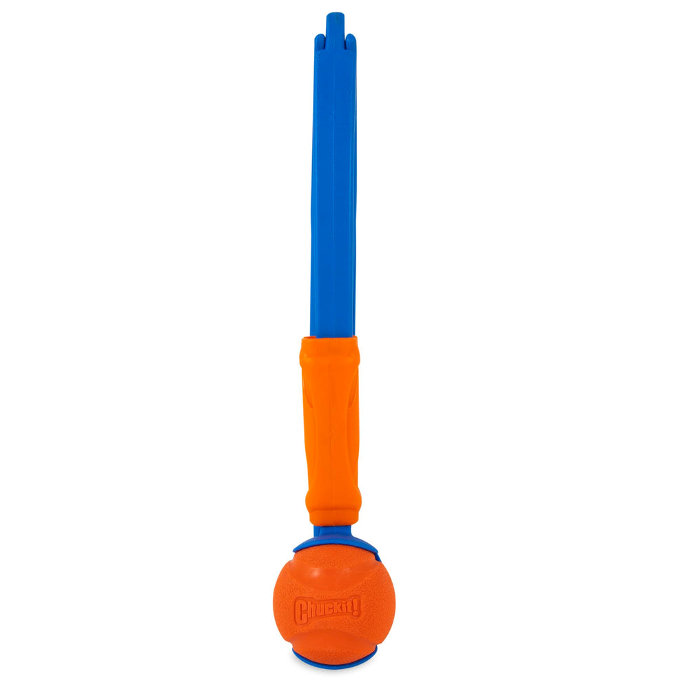 Chuckit! balle Medium incluse haute visibilité pour jeux dynamiques