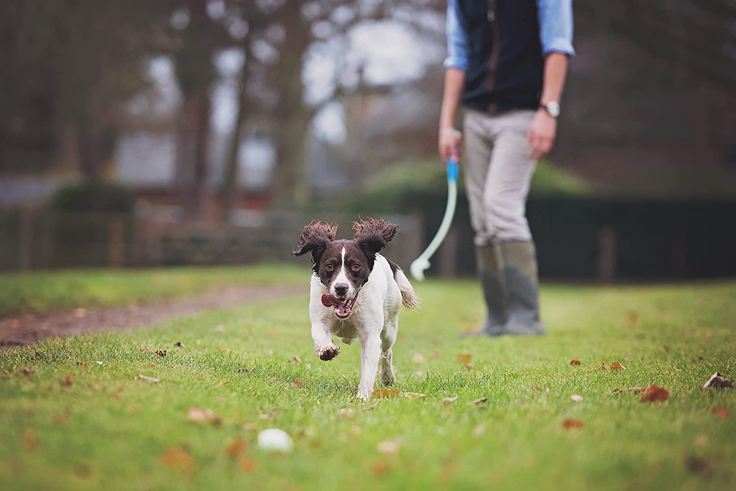 Chuckit! comparaison de taille, montre diamètre adapté chiens medium