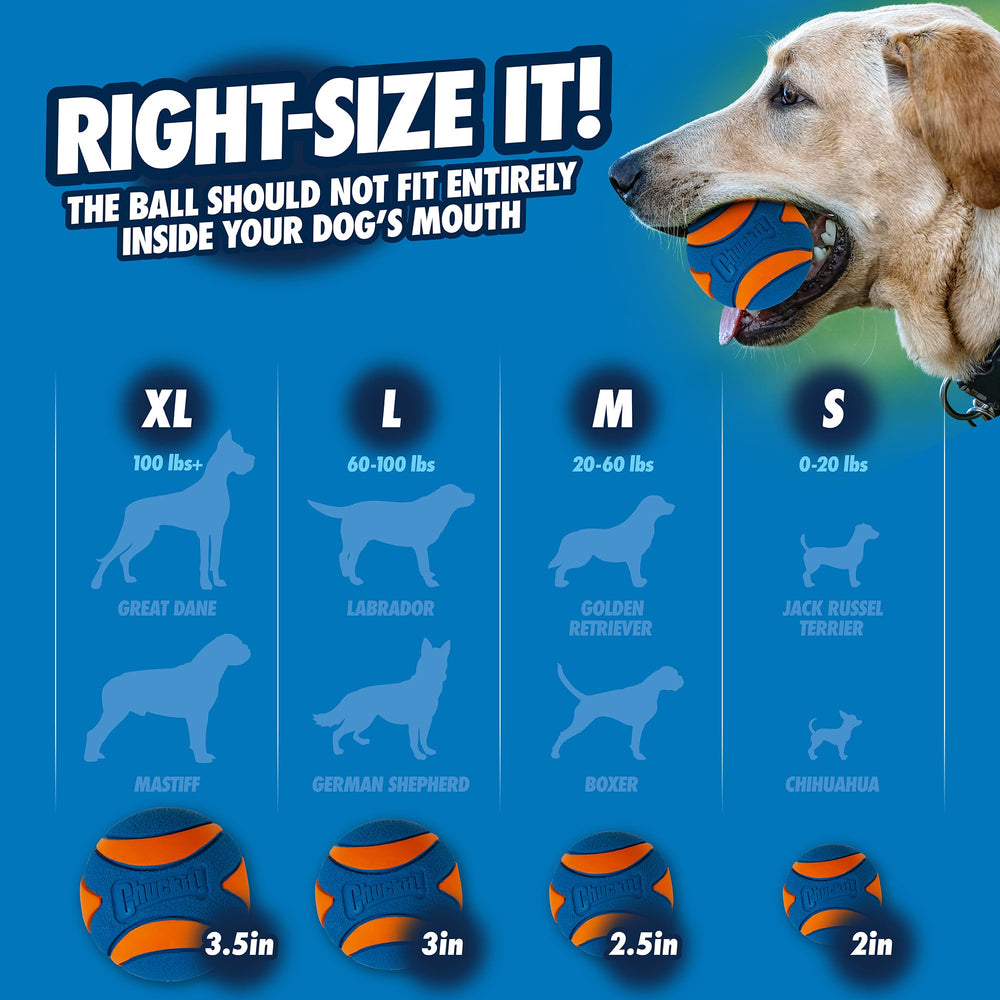 Chuckit! comparaison de tailles pour choisir la bonne taille