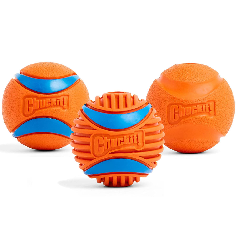 Chuckit! comparaison d’échelle des balles medium montrant taille adaptée chiens moyens