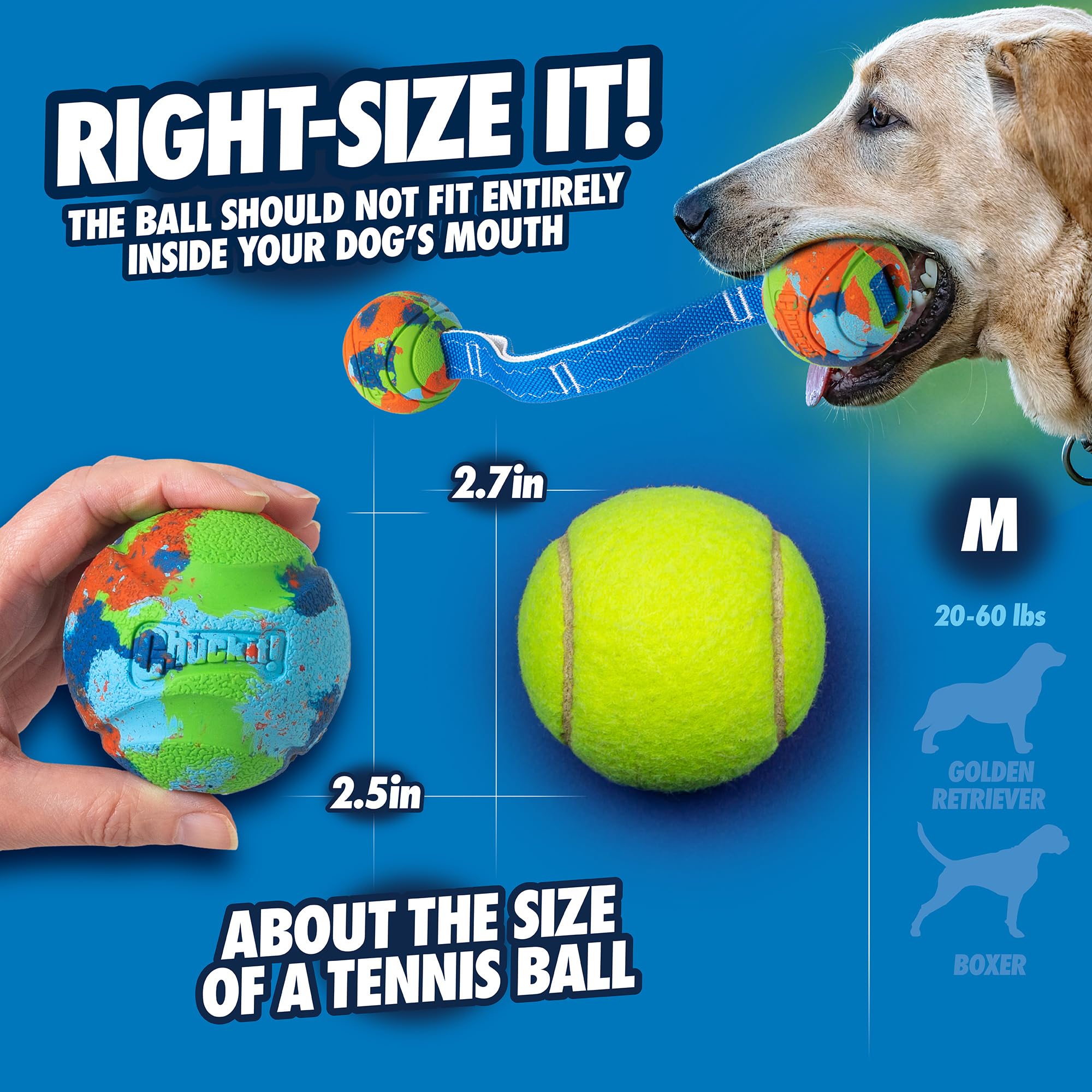 Gros plan de la texture de la balle Chuckit! EcoFetch montrant le caoutchouc durable