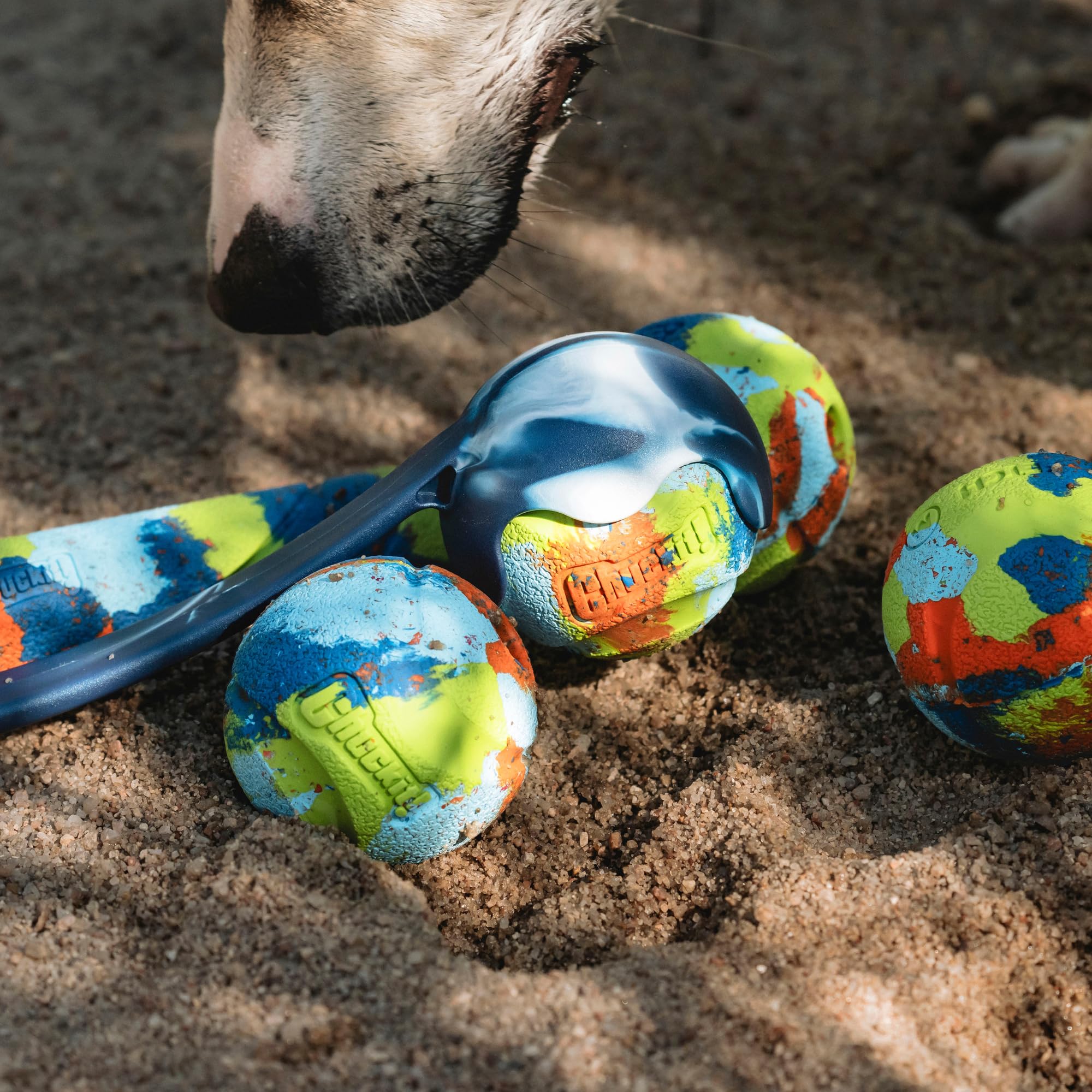 Comparaison taille Chuckit! EcoFetch dans une main, conçu pour chiens taille moyenne