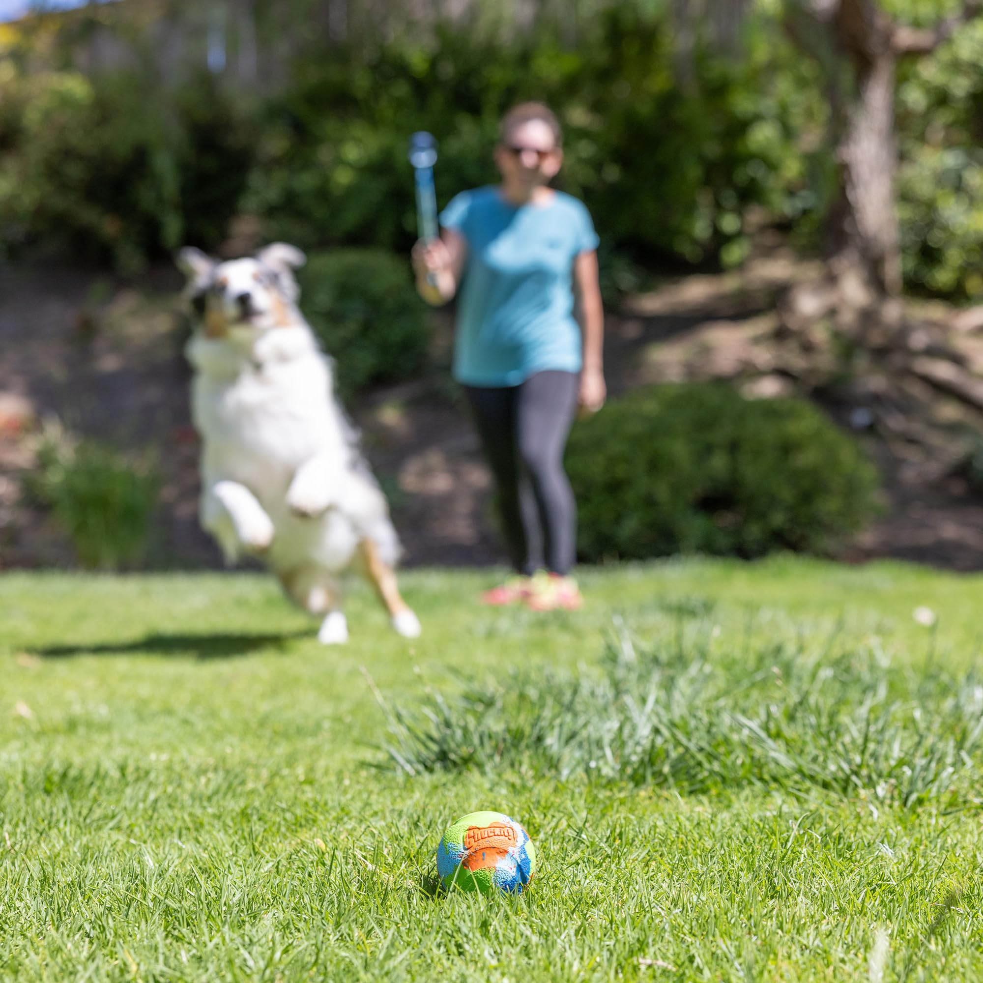 Trois balles Chuckit! EcoFetch posées côte à côte montrant leurs motifs uniques