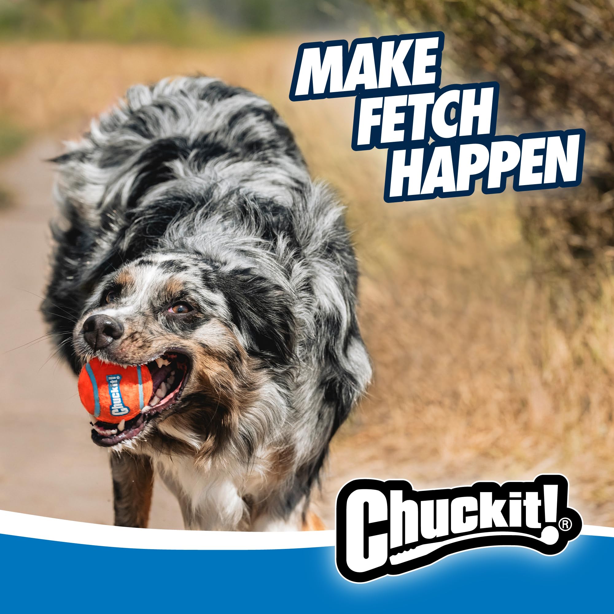 Chuckit! emballage et contenu avec lanceur et balle incluse