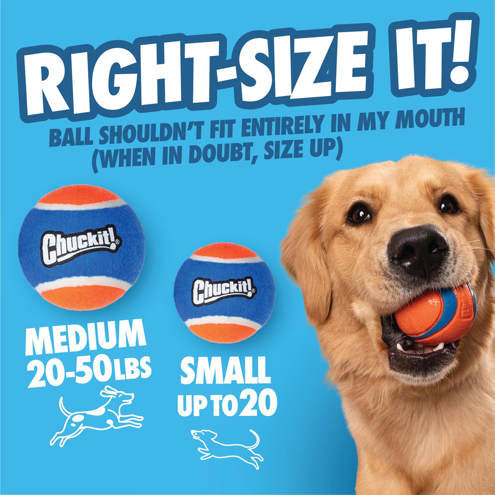 Chuckit! emballage produit prêt à l’achat et informations visibles