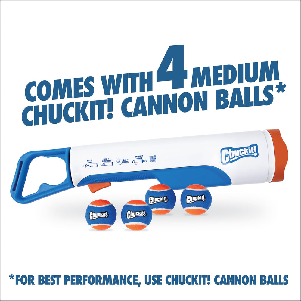 Chuckit! chien attrapant la balle en plein saut pour un exercice vigoureux