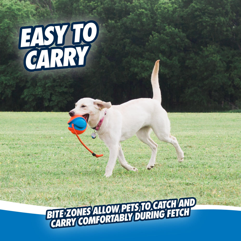 Chuckit! en plein jeu avec chien stimulant course et rapport