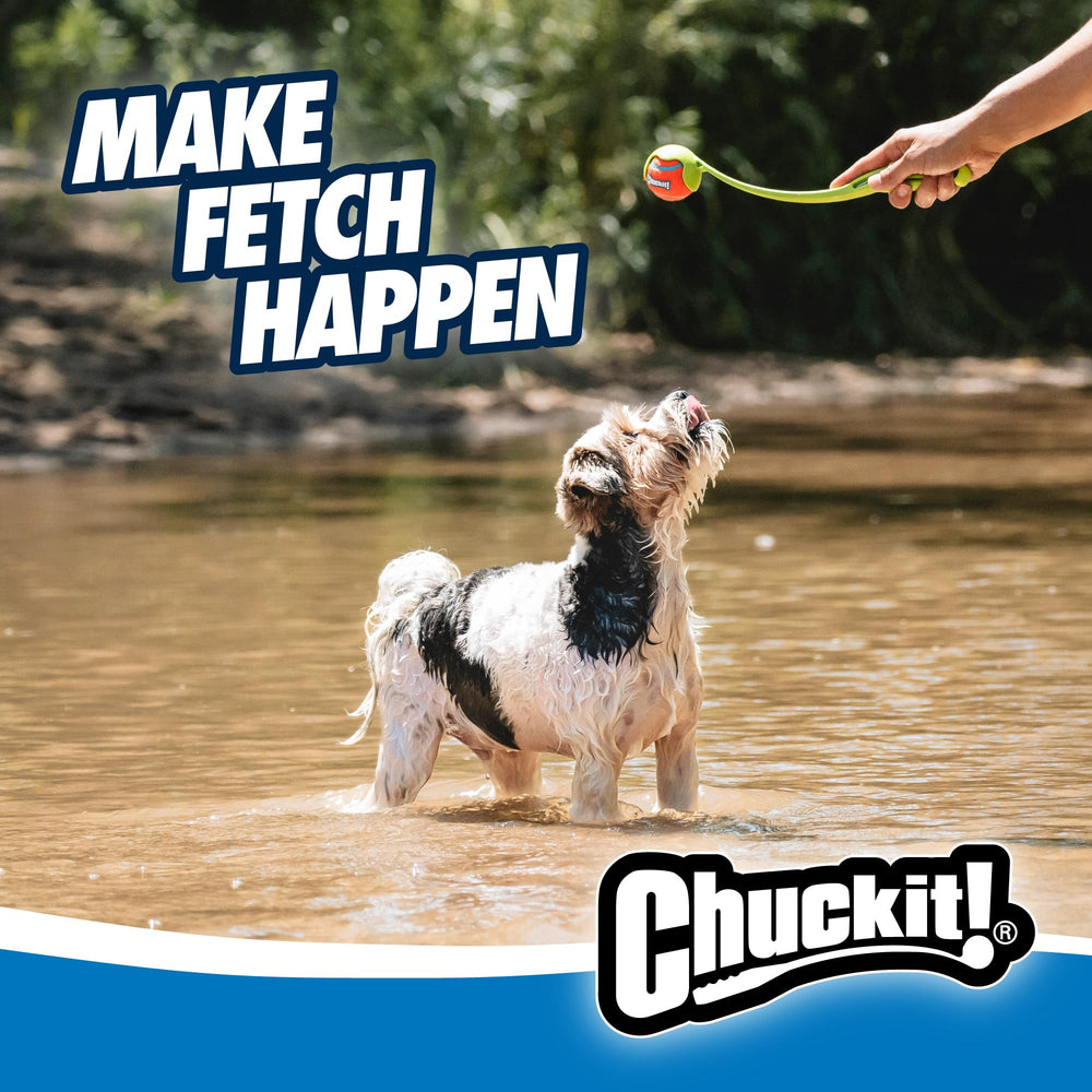 Chuckit! lanceur en usage dans un parc chien courant plus loin et dépensant énergie