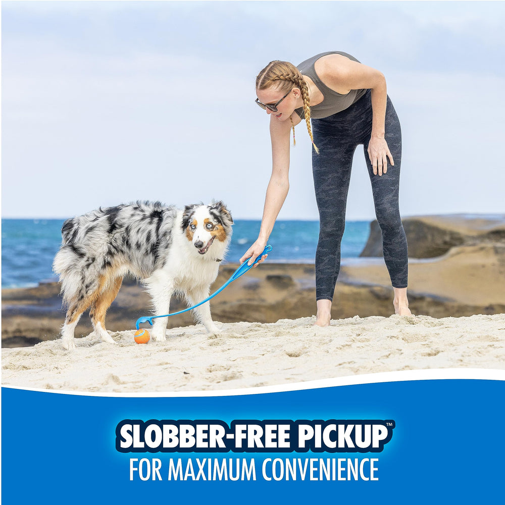Chuckit! lanceur utilisé au parc stimulant activité du chien