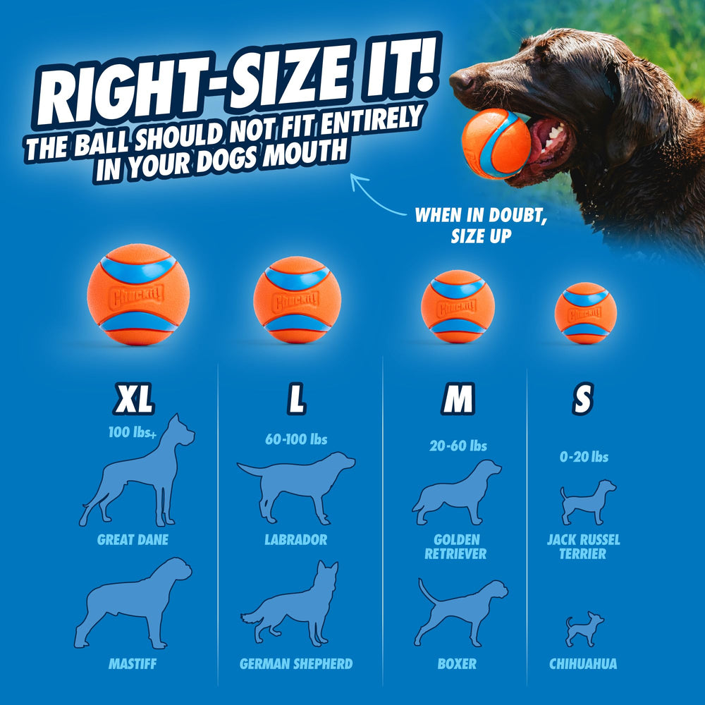 Chuckit! Fetch Ball montrant le rebond élevé pour courses actives du chien