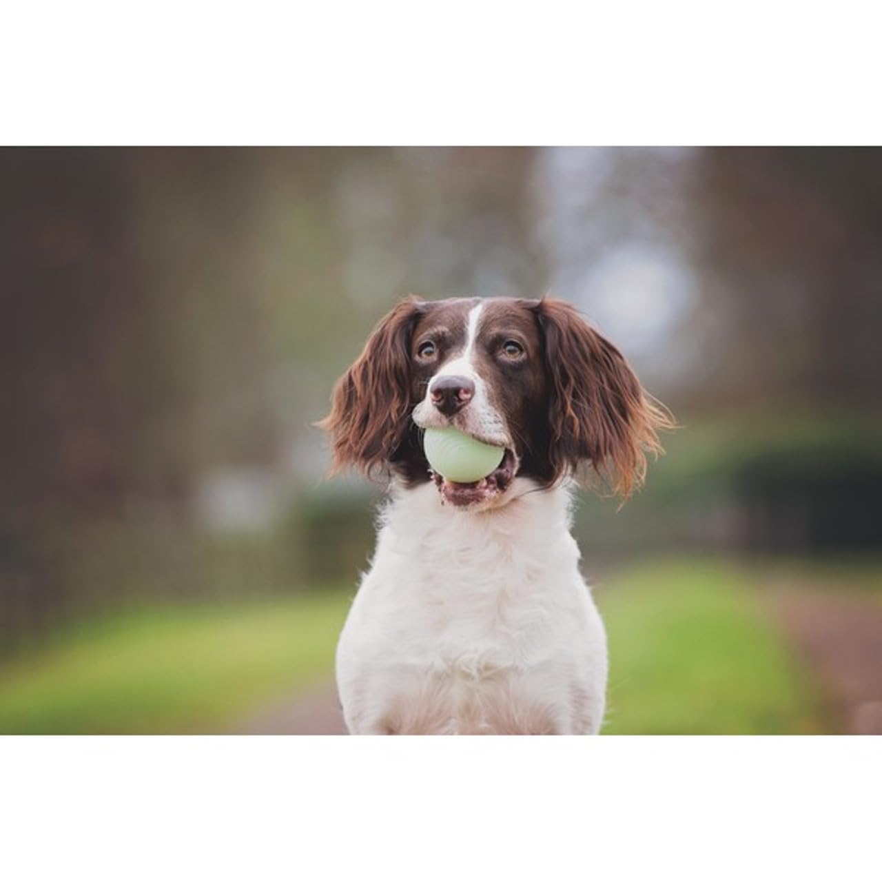 Chuckit! détail du matériau photoluminescent montrant durabilité