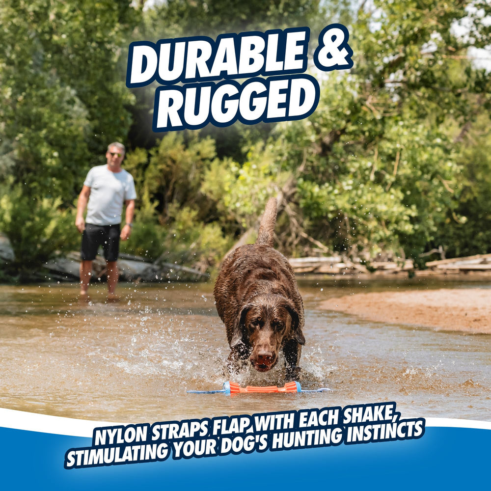 Chuckit! Rugged Bumper flottant sur l'eau, parfait pour jeux aquatiques