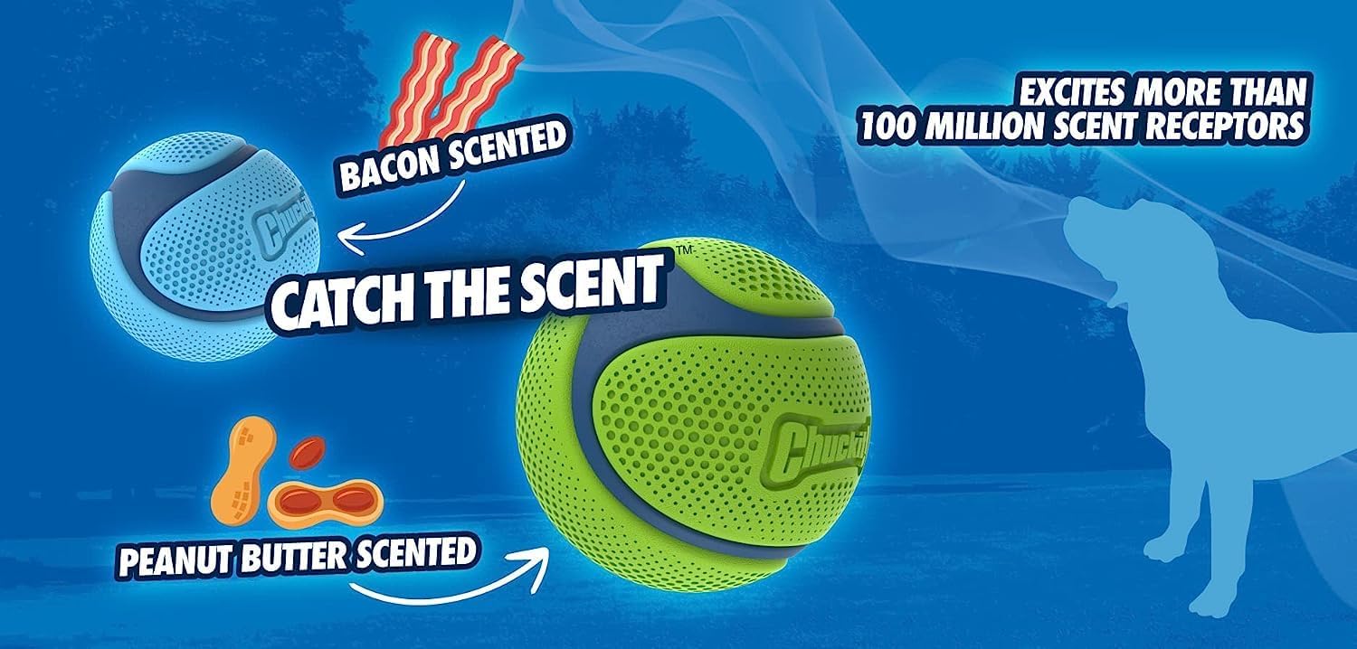 Chuckit! Sniff Ball comparée à une main montrant taille medium adaptée au rappel