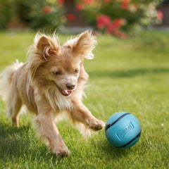 Chuckit! Sniff Ball flottant sur l’eau facilitant jeux aquatiques et récupération