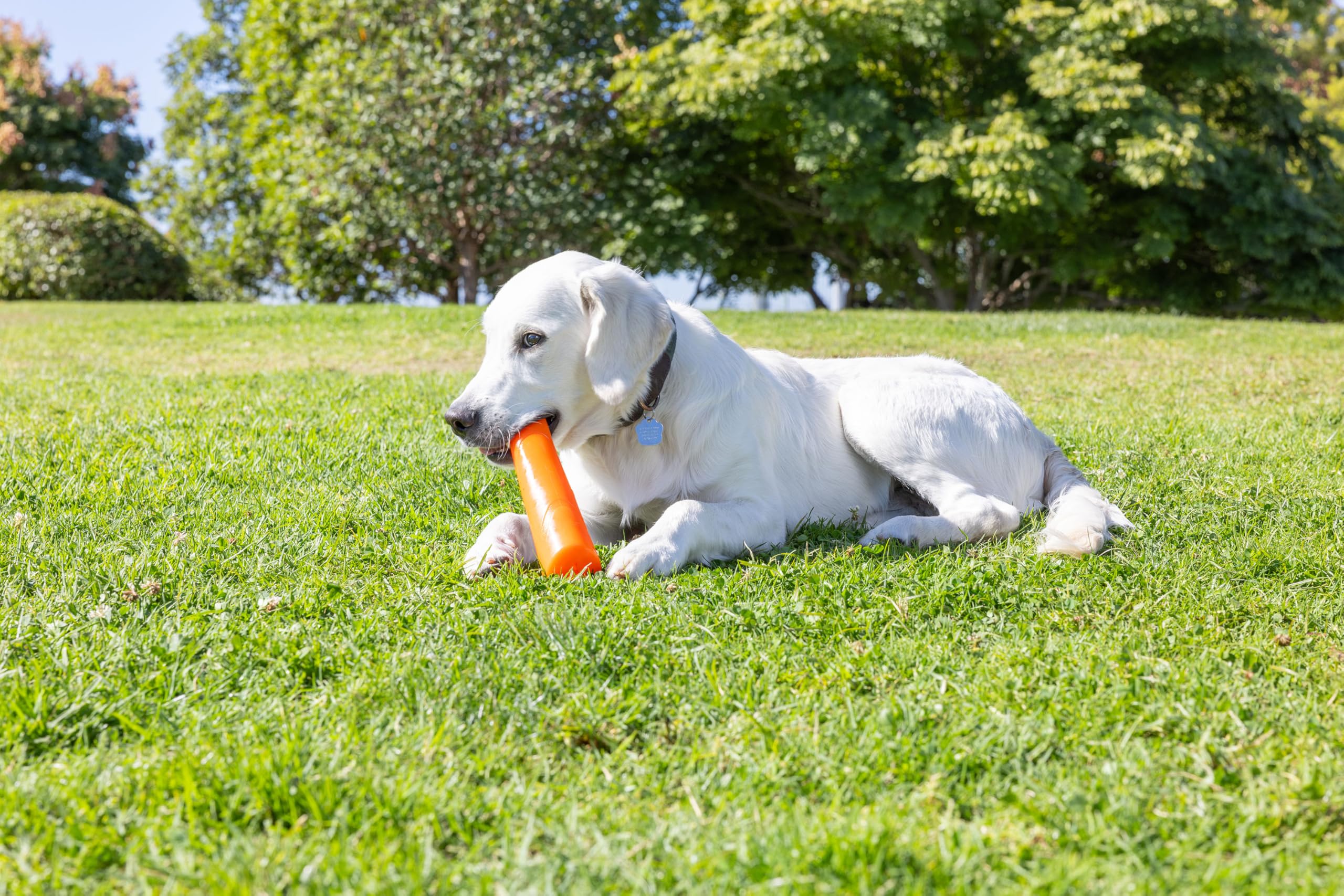 Chuckit! vue du mécanisme sonore interne, bruit contenu pour attirer le chien