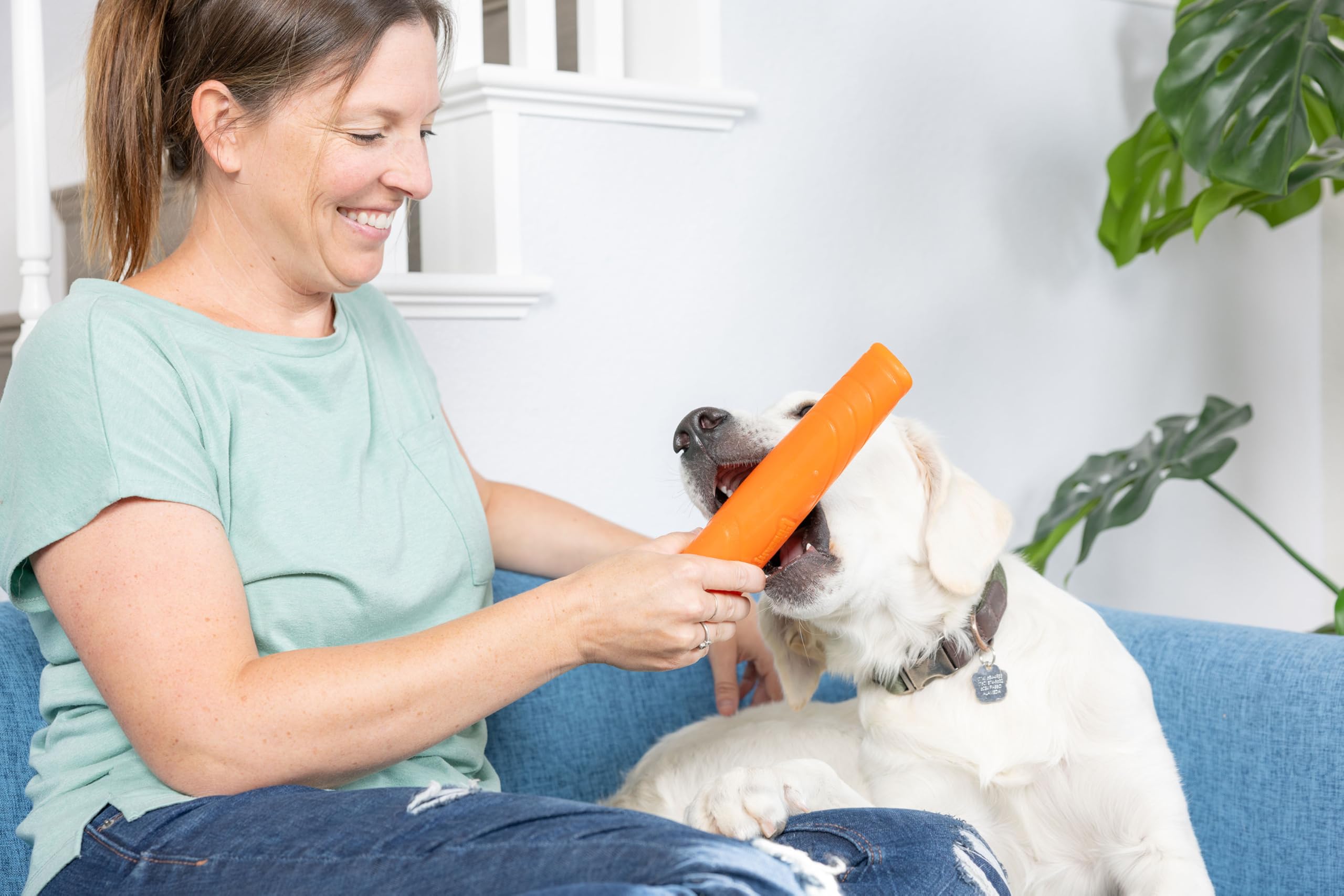 Chuckit! bâton posé à côté d’une règle, indication claire de la taille 23,5 cm