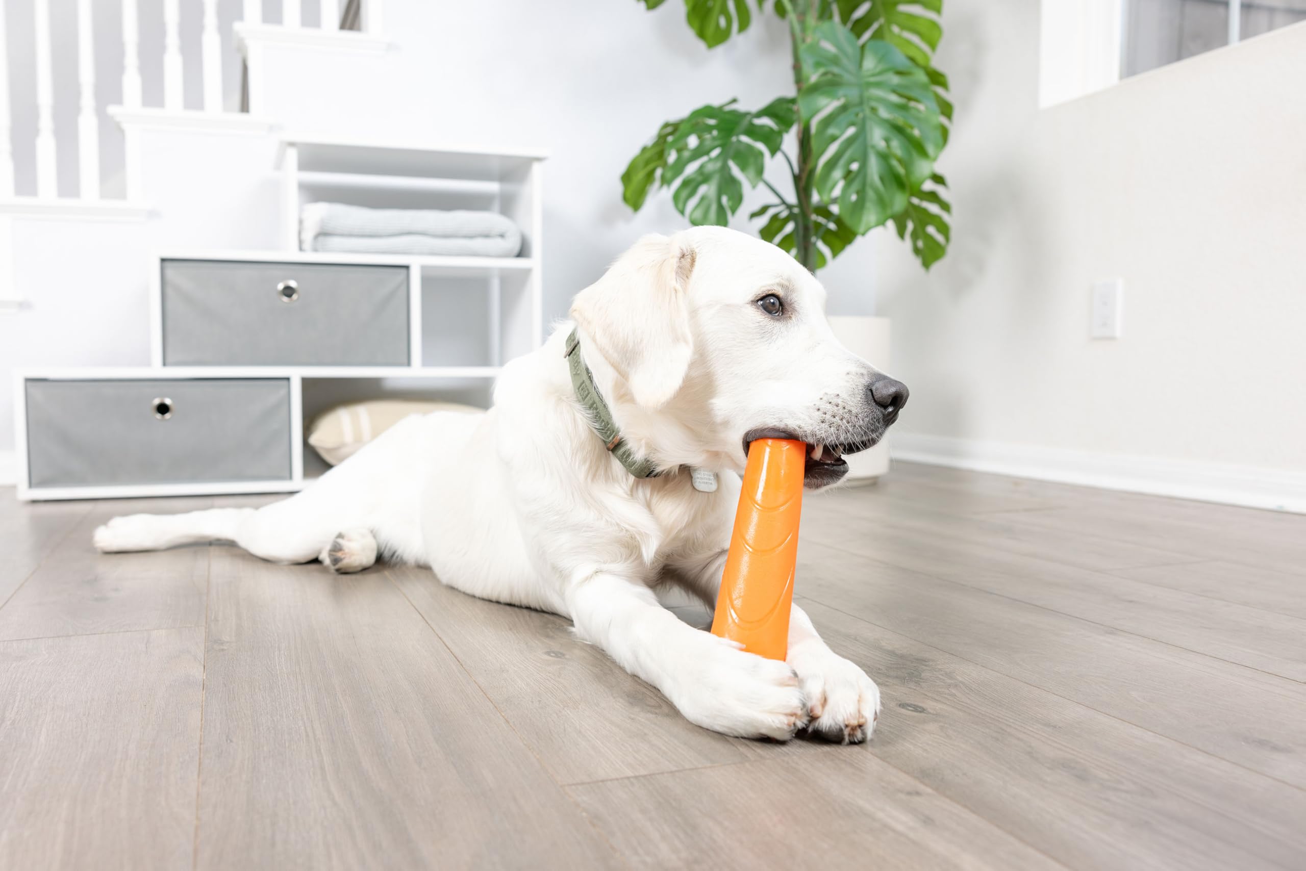 Chuckit! chien tenant le bâton en gueule, prise ergonomique et confort