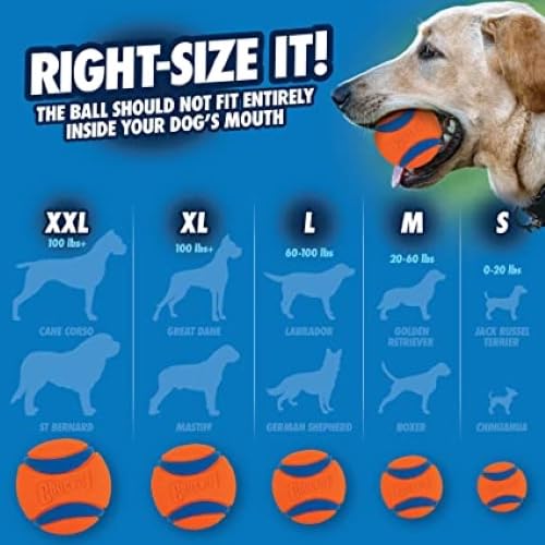 Chuckit! comparaison de taille montrant une balle de 2,5" pour chiens moyens