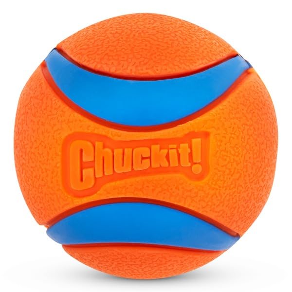 Chuckit! seau avec couvercle transformé en gamelle, solution portable pour hydrater