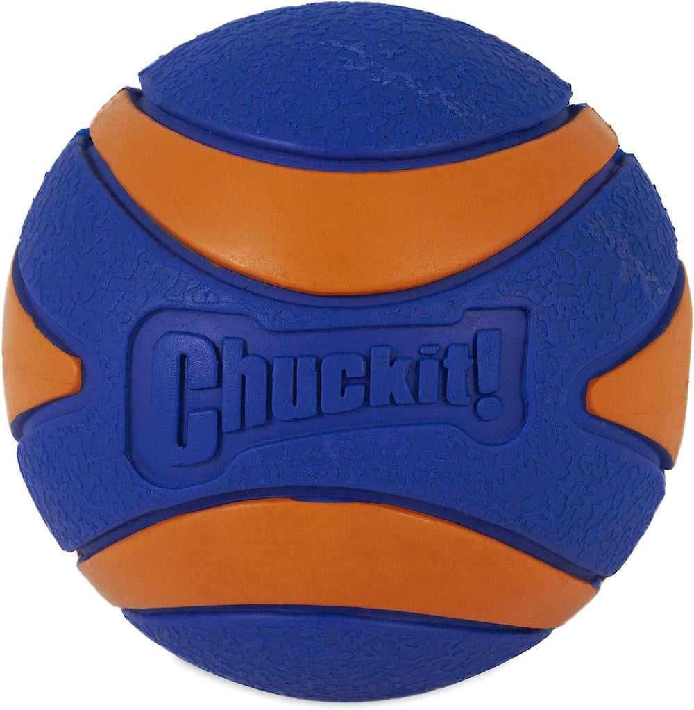 Chuckit! prise par un chien montrant facilité d'attraper et jeu actif