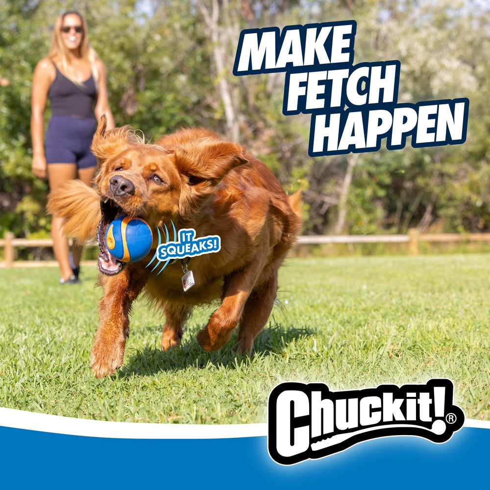 Chuckit! chien rapporte la balle sur la plage augmentant l'exercice