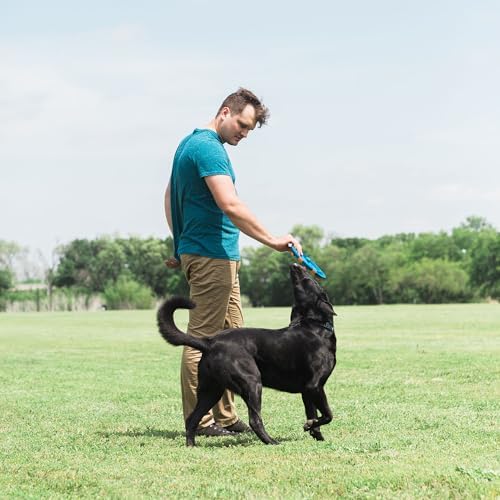 Chuckit! Whistle Flight présenté avec balles complétant la gamme