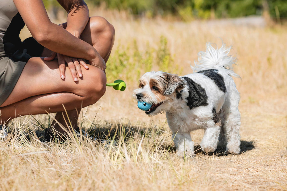 Chuckit! Whistler lancée depuis un lanceur Small, favorise les longs parcours