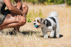 Chuckit! Whistler lancée depuis un lanceur Small, favorise les longs parcours