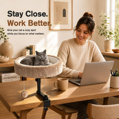 Chumajor détail de la fixation sur bord de bureau, maintien sécurisé