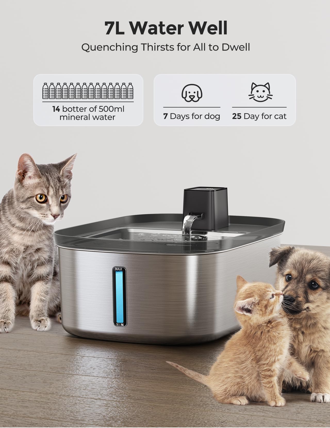 Chumajor fontaine en usage avec un grand chien buvant confortablement
