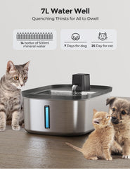 Chumajor fontaine en usage avec un grand chien buvant confortablement