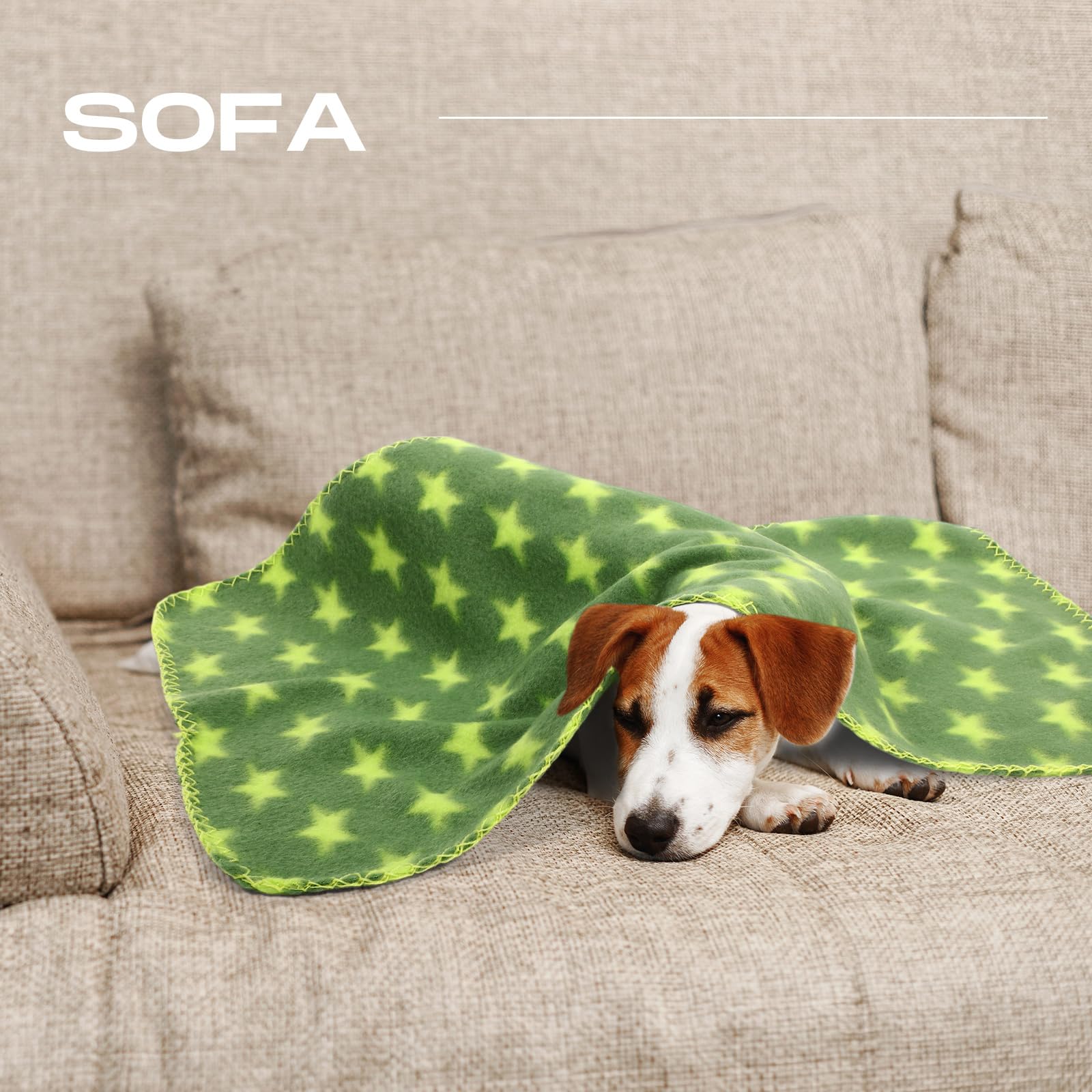 Chumia détail motif patte et os pour style et attractivité pour petits chiens
